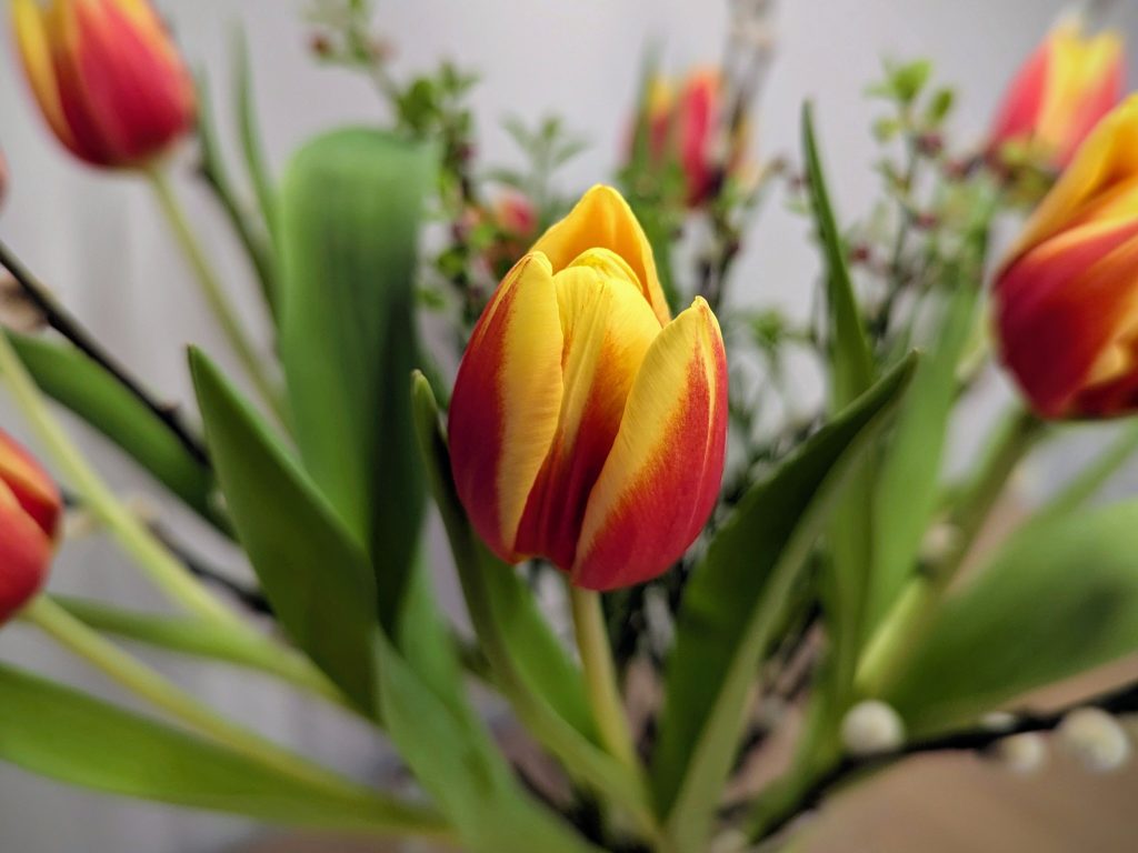 Öffnungszeiten über die Ostertage